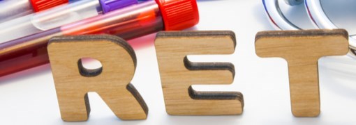 בדיקת רטיקולציטים (Reticulocytes) - תמונה